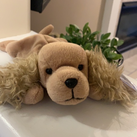TY Beanie Baby Spunky the Cocker Spaniel‌‌‌‌‌‌‌‌‌‌‌‌‌‌‌‌‌‌‌‌‌‌‌‌‌‌‌‌‌‌‌…‌‌‌‌‌‌‍ - Picture 6 of 8